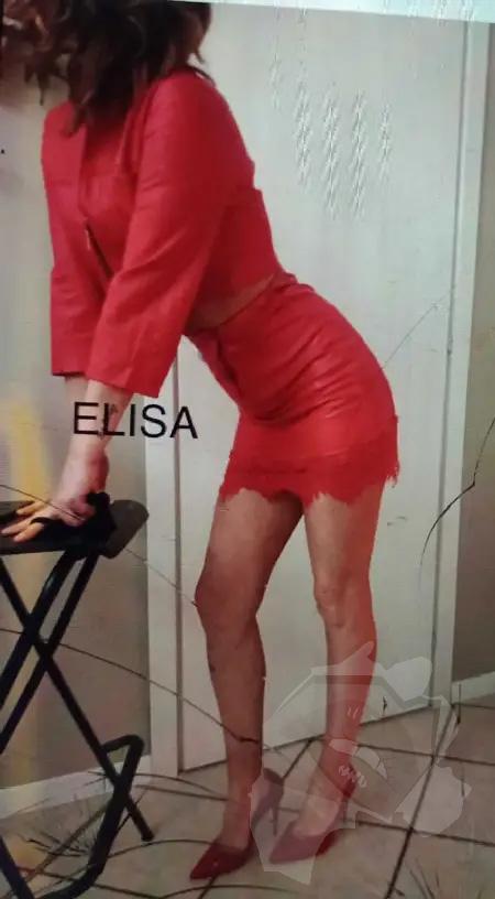 ELISA 2