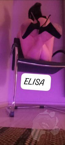 Elisa 3